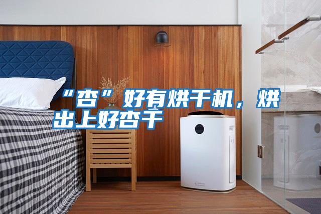 “杏”好有烘干機，烘出上好杏干