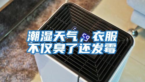 潮濕天氣，衣服不僅臭了還發霉