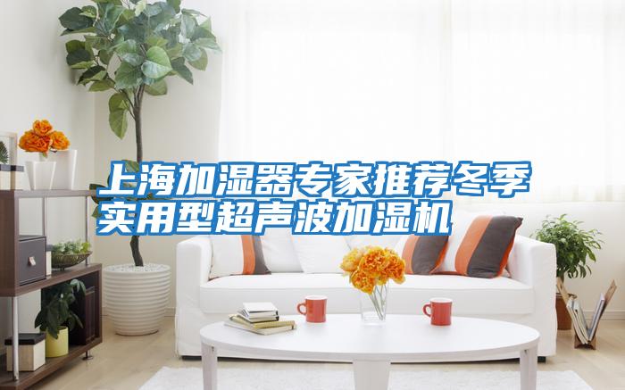上海加濕器專(zhuān)家推薦冬季實(shí)用型超聲波加濕機(jī)