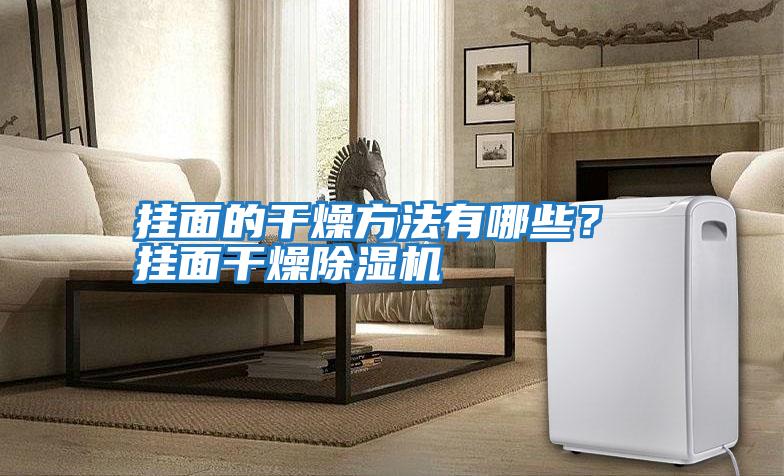 掛面的干燥方法有哪些？ 掛面干燥除濕機(jī)
