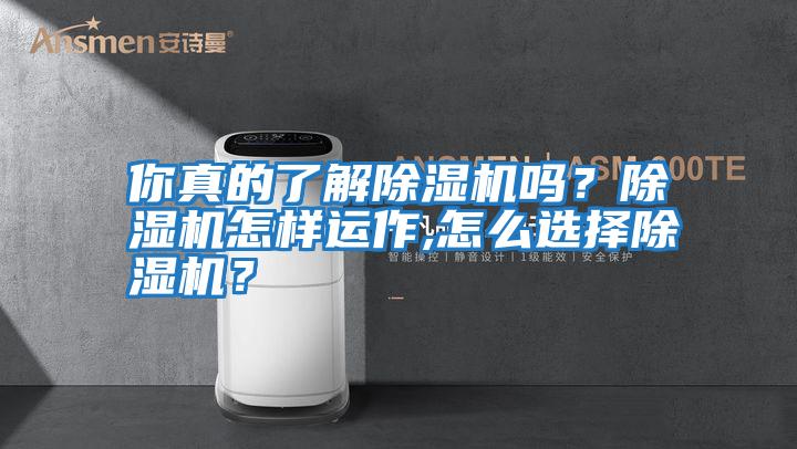 你真的了解除濕機嗎？除濕機怎樣運作,怎么選擇除濕機？