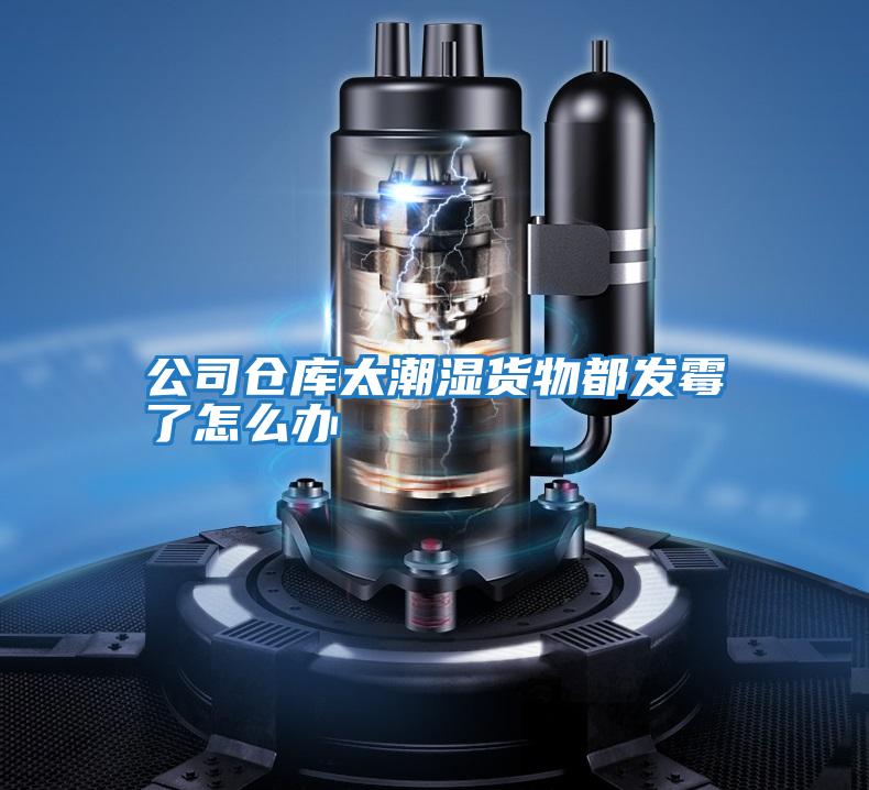 公司倉庫太潮濕貨物都發霉了怎么辦