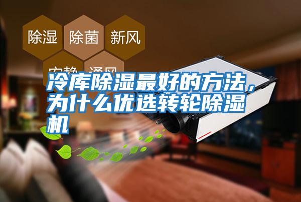 冷庫除濕最好的方法,為什么優(yōu)選轉(zhuǎn)輪除濕機(jī)