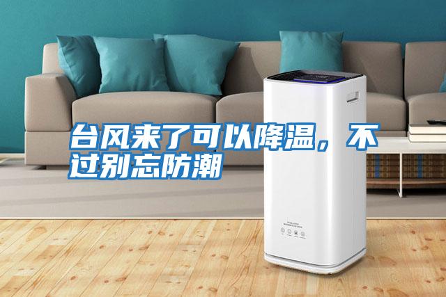 臺風來了可以降溫，不過別忘防潮