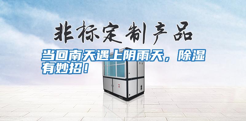 當回南天遇上陰雨天，除濕有妙招！