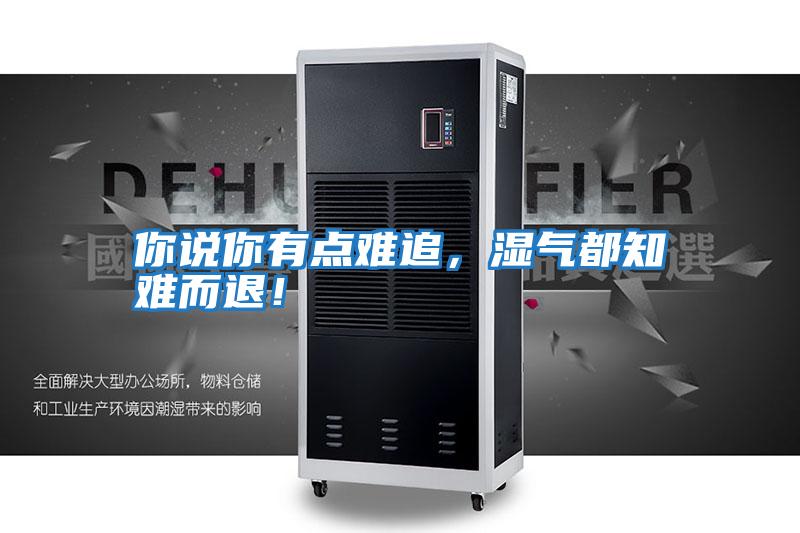 你說你有點難追,濕氣都知難而退!