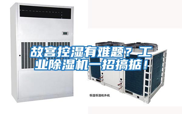 故宮控濕有難題？工業除濕機一招搞掂！