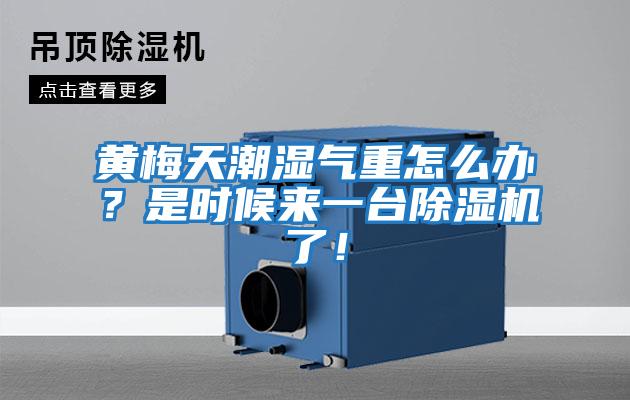 黃梅天潮濕氣重怎么辦？是時(shí)候來(lái)一臺(tái)除濕機(jī)了！