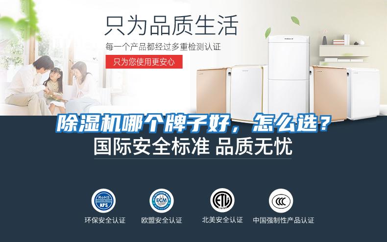 除濕機哪個牌子好，怎么選？