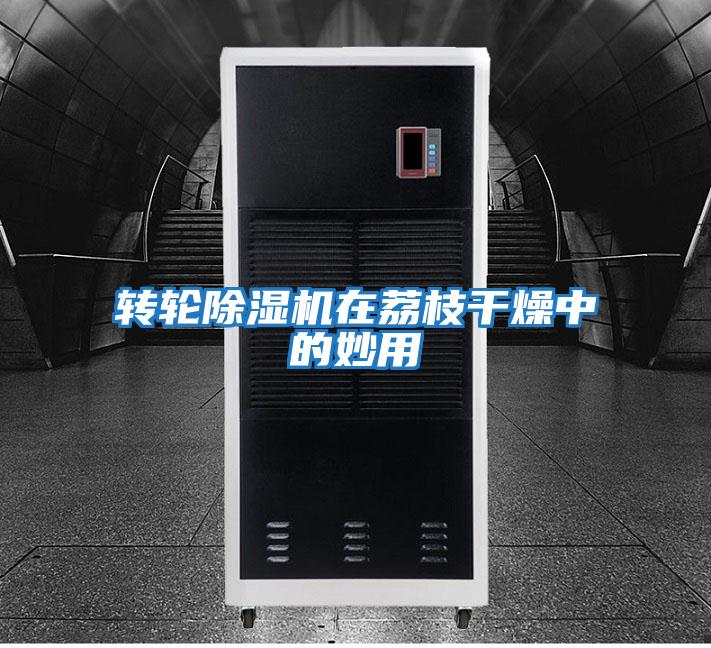 轉輪除濕機在荔枝干燥中的妙用