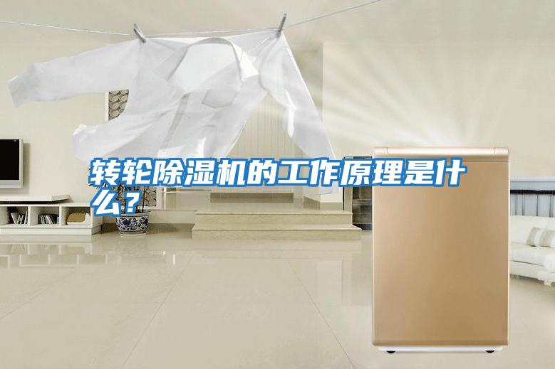 轉(zhuǎn)輪除濕機的工作原理是什么？