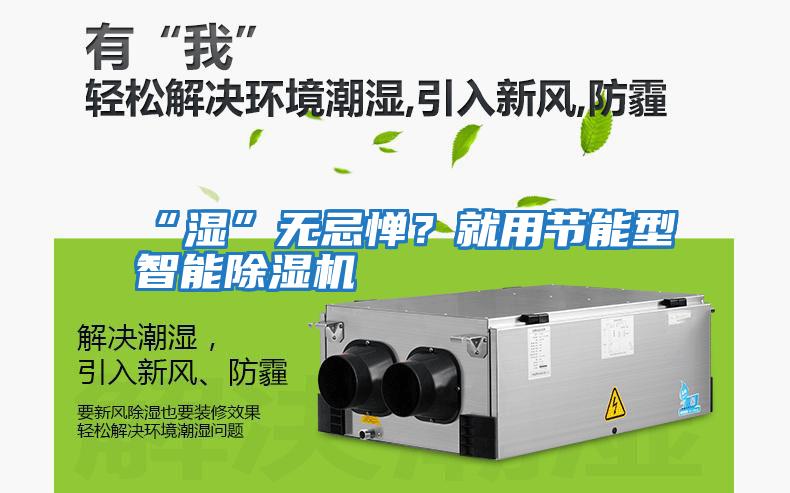 “濕”無忌憚？就用節能型智能除濕機