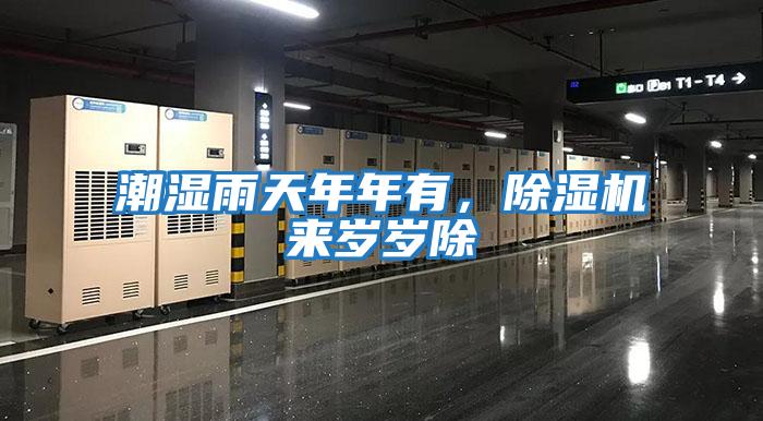 潮濕雨天年年有，除濕機來歲歲除