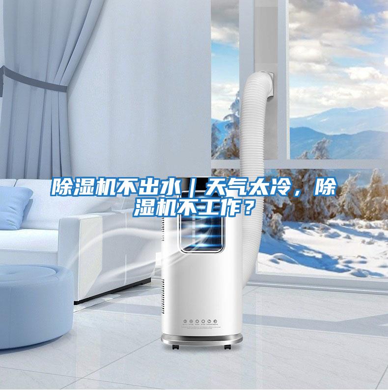 除濕機不出水｜天氣太冷，除濕機不工作？