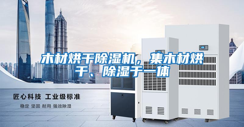 木材烘干除濕機(jī),集木材烘干、除濕于一體