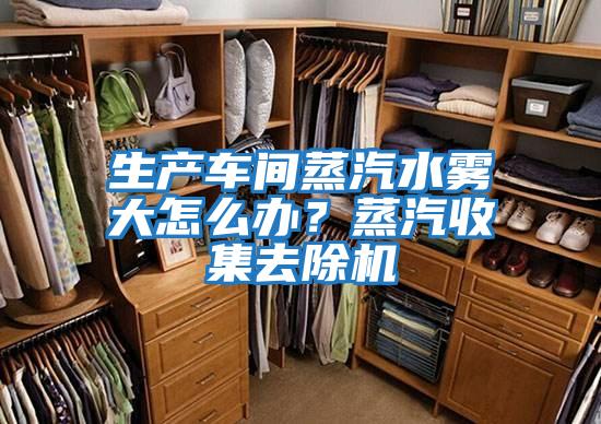 生產(chǎn)車間蒸汽水霧大怎么辦？蒸汽收集去除機