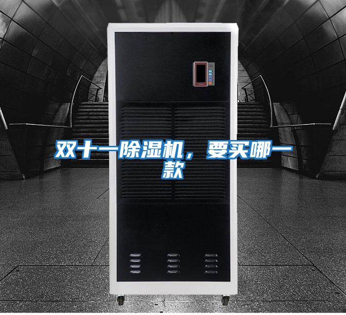 雙十一除濕機,要買哪一款