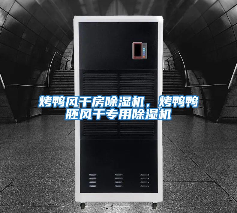 烤鴨風(fēng)干房除濕機(jī)，烤鴨鴨胚風(fēng)干專用除濕機(jī)
