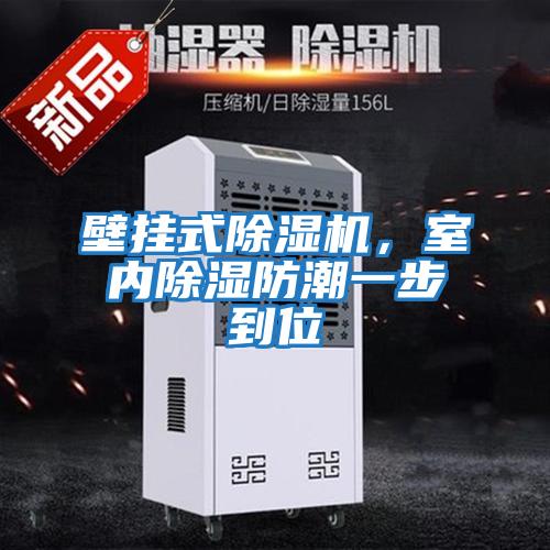 壁掛式除濕機，室內除濕防潮一步到位