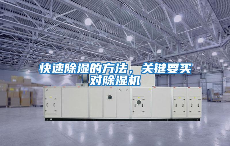 快速除濕的方法，關鍵要買對除濕機