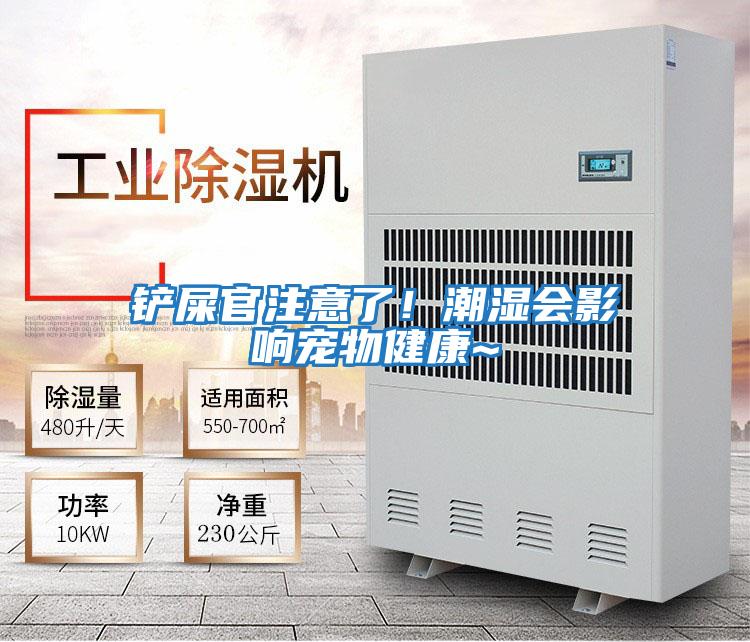 鏟屎官注意了！潮濕會影響寵物健康~