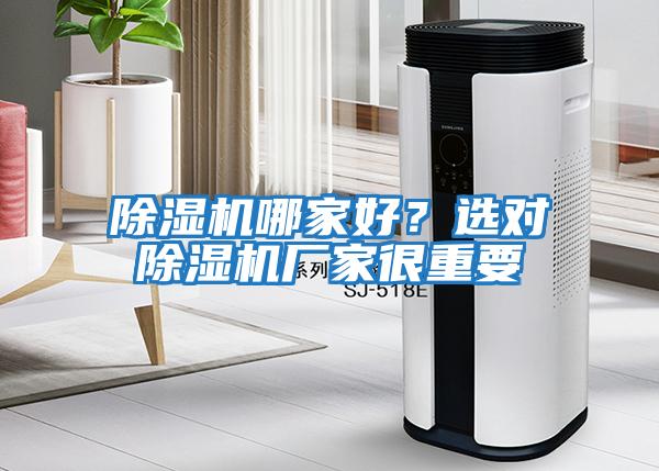 除濕機哪家好？選對除濕機廠家很重要