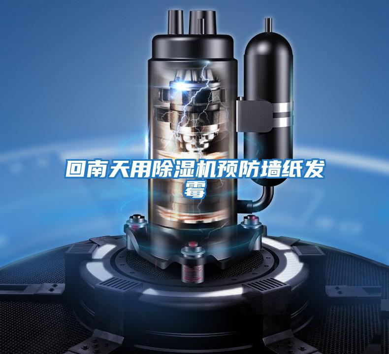 回南天用除濕機預防墻紙發霉