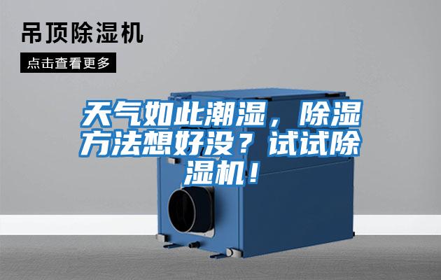天氣如此潮濕，除濕方法想好沒？試試除濕機(jī)！