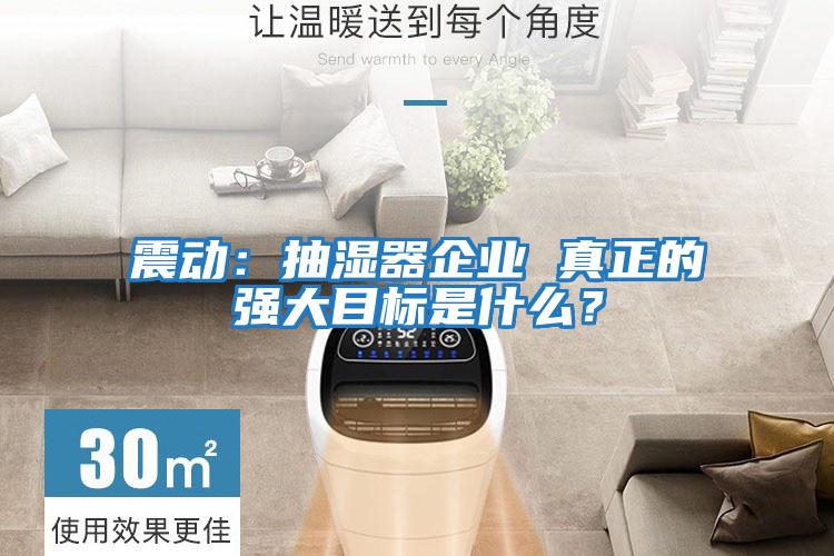 震動:抽濕器企業 真正的強大目標是什么?