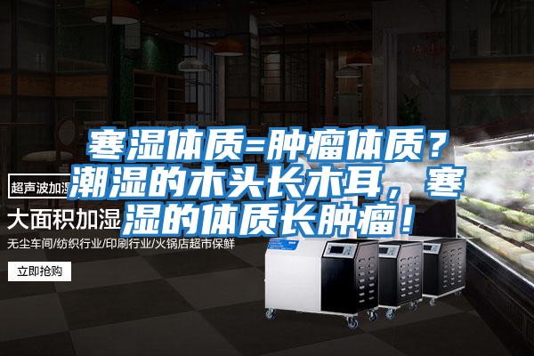 寒濕體質=腫瘤體質？潮濕的木頭長木耳，寒濕的體質長腫瘤！