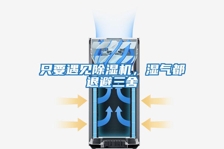 只要遇見除濕機，濕氣都退避三舍