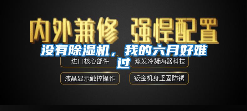 沒有除濕機，我的六月好難過