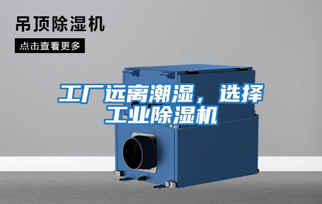 工廠遠離潮濕，選擇工業(yè)除濕機