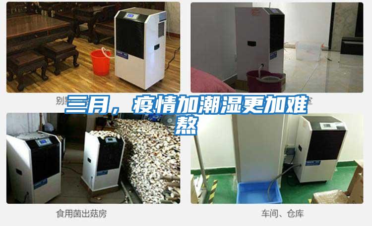 三月，疫情加潮濕更加難熬