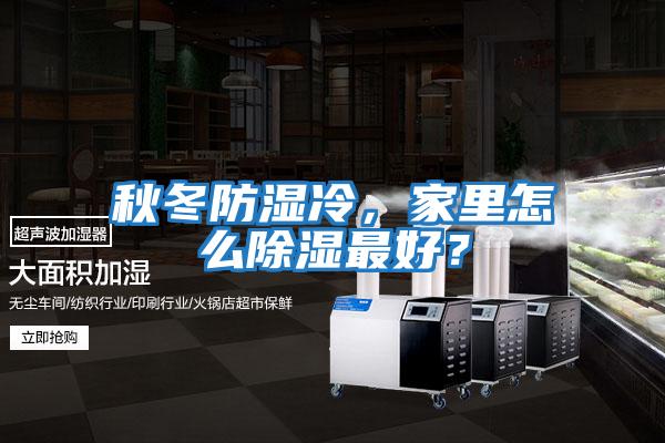 秋冬防濕冷，家里怎么除濕最好？