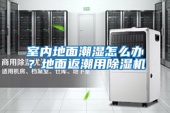 室內地面潮濕怎么辦?地面返潮用除濕機