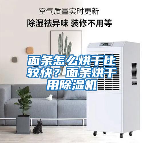 面條怎么烘干比較快？面條烘干用除濕機