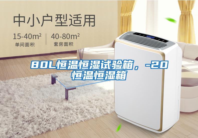 80L恒溫恒濕試驗(yàn)箱,-20℃恒溫恒濕箱