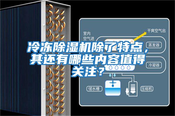 冷凍除濕機除了特點，其還有哪些內(nèi)容值得關注？