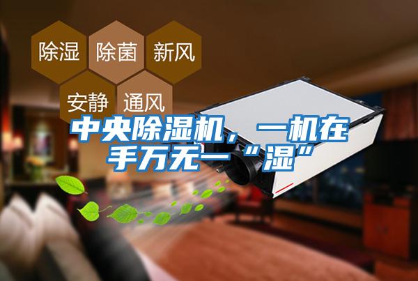 中央除濕機(jī)，一機(jī)在手萬無一“濕”