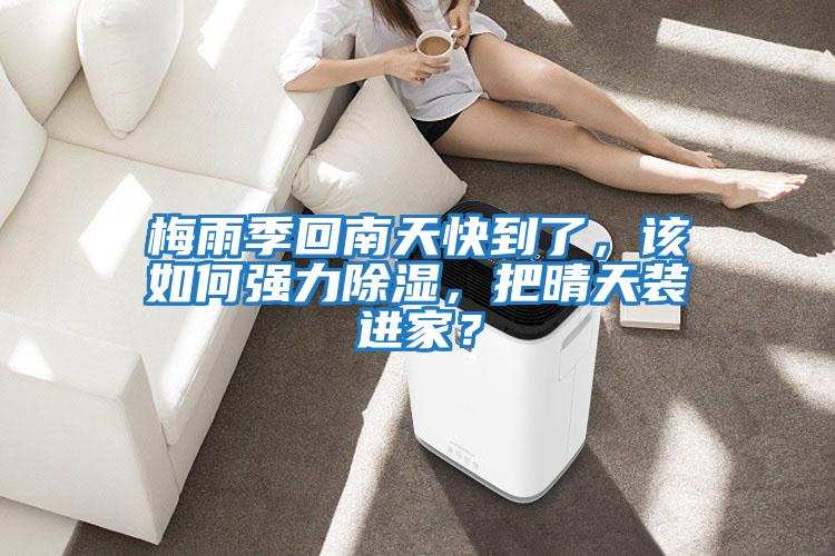 梅雨季回南天快到了,該如何強(qiáng)力除濕,把晴天裝進(jìn)家?
