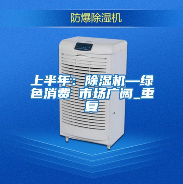 上半年:除濕機—綠色消費 市場廣闊_重復