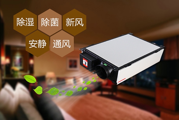 出梅？再等等，在家該如何防潮除濕？