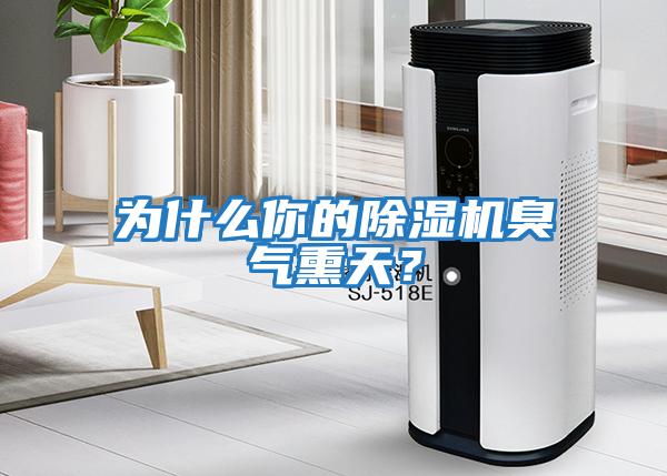 為什么你的除濕機臭氣熏天？