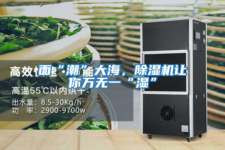 面“潮”大海,除濕機讓你萬無一“濕”