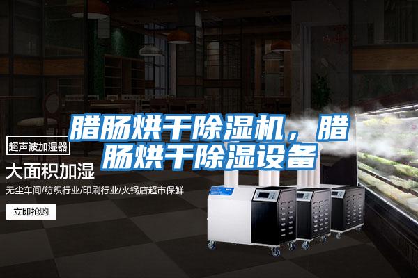 臘腸烘干除濕機，臘腸烘干除濕設備