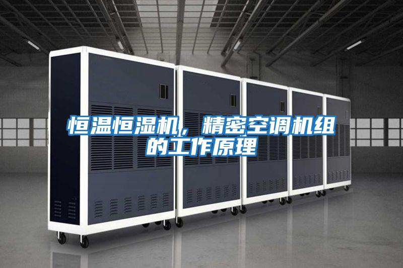 恒溫恒濕機,精密空調機組的工作原理