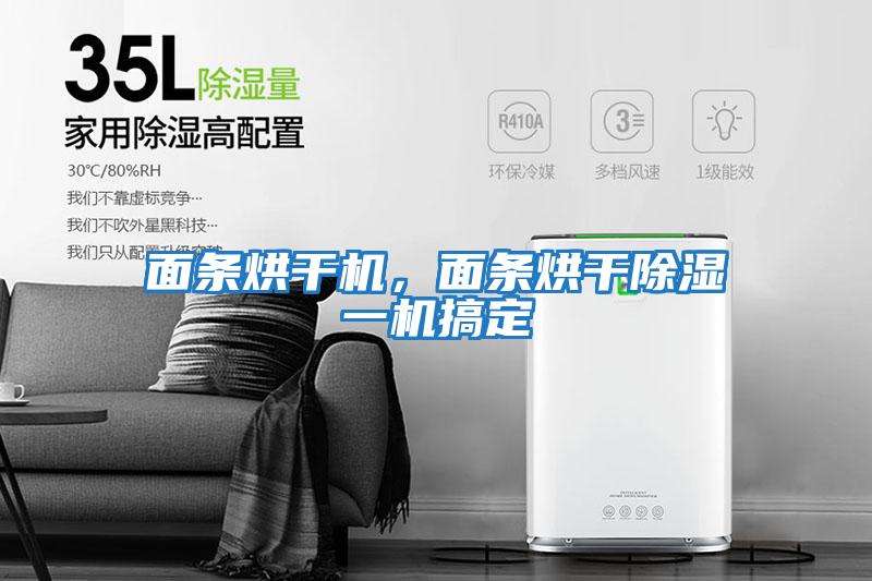 面條烘干機，面條烘干除濕一機搞定