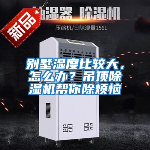 別墅濕度比較大,怎么辦?吊頂除濕機幫你除煩惱