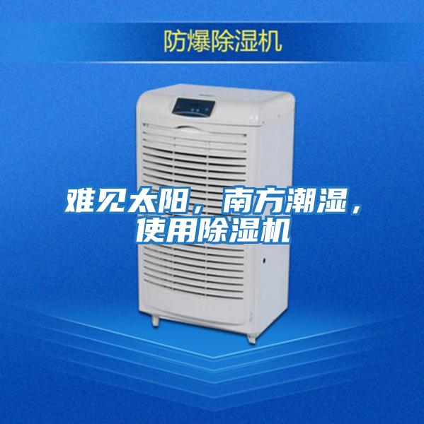 難見太陽，南方潮濕，使用除濕機